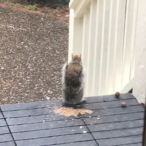 Meet your Posher, Jeremy